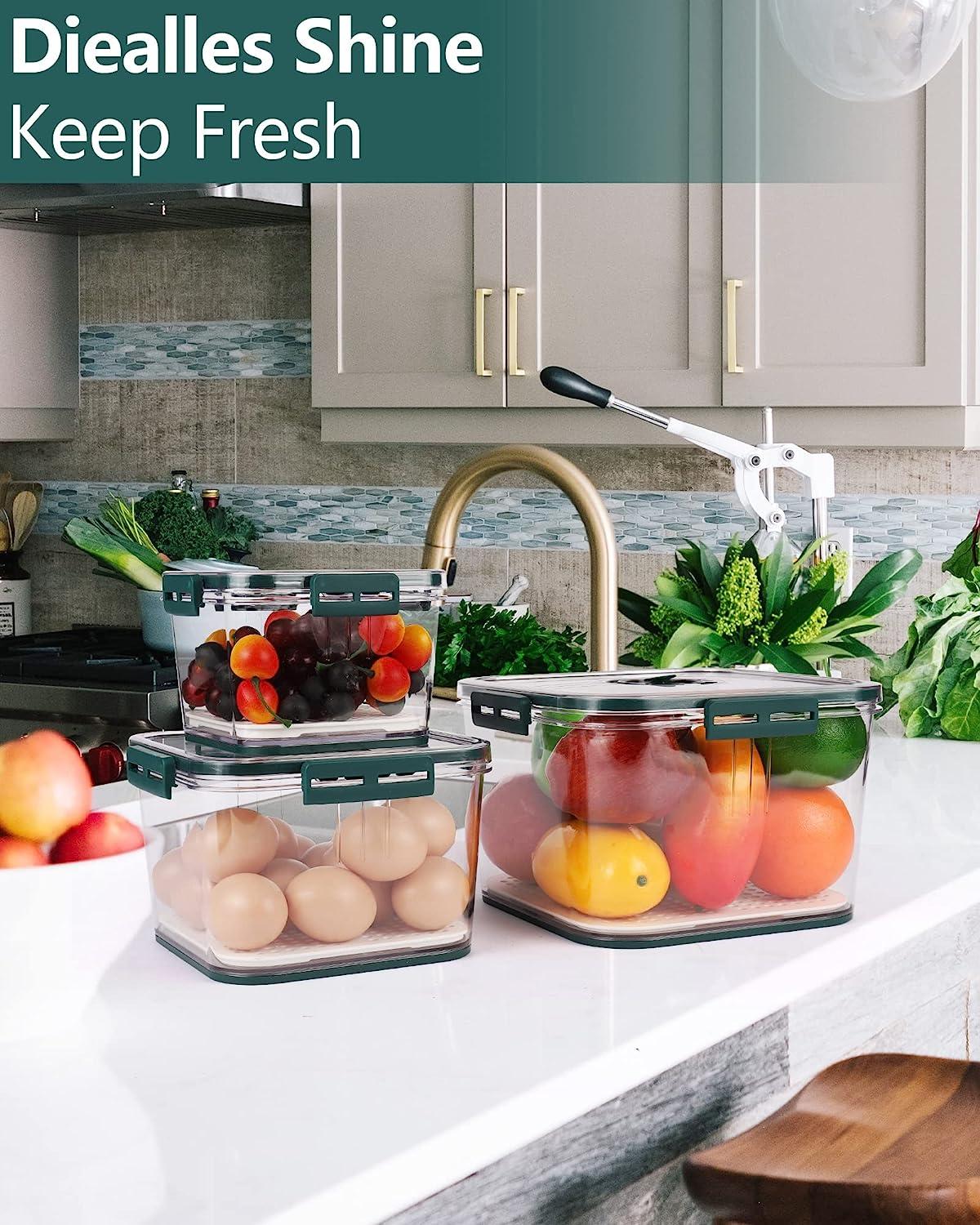 Freshness Food Storage Container (Pack of 2)
