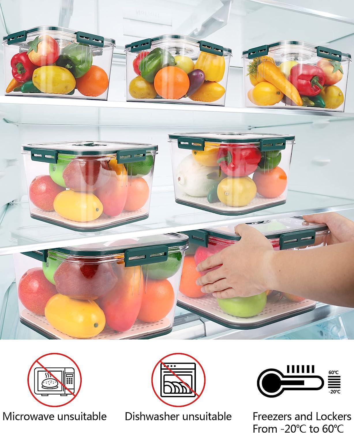 Freshness Food Storage Container (Pack of 2)